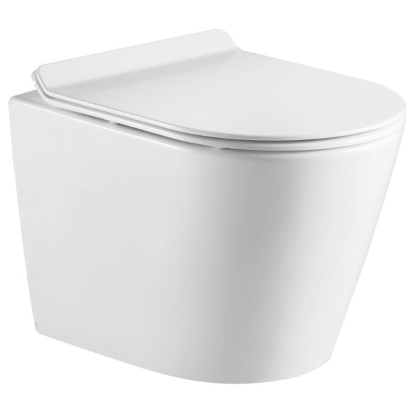 DSW-WHE01W Wall Mounted Toilet Image