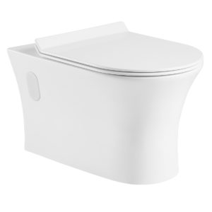 DSW-WHE02W Wall Mounted Toilet Image